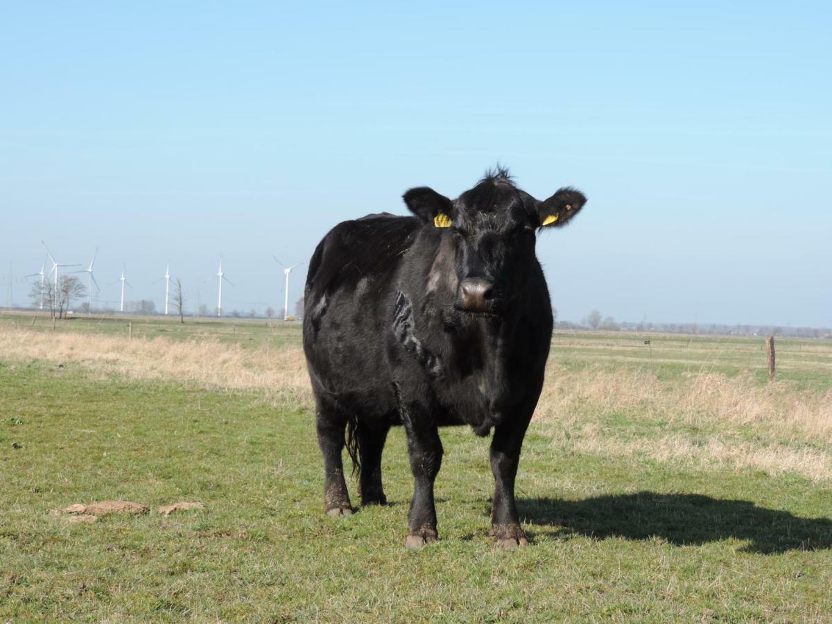 Ferienwohnung Blau Hohenfelde  Zewnętrze zdjęcie